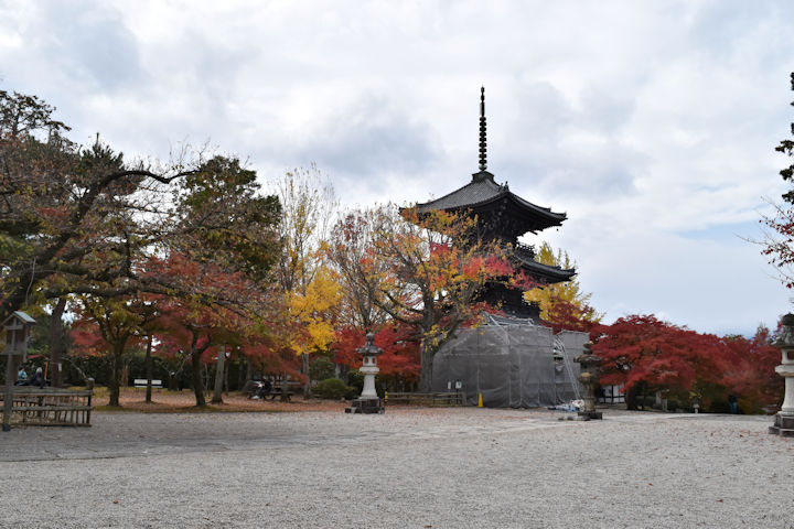 本堂前はピークを過ぎる