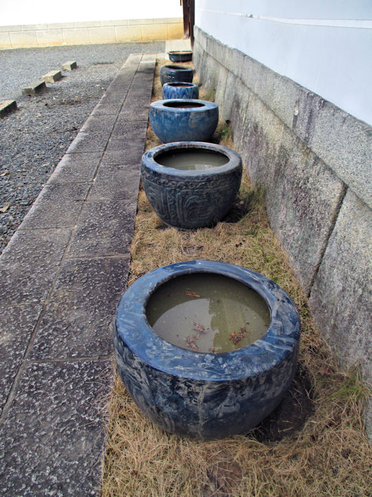 蓮の植え替え、完了