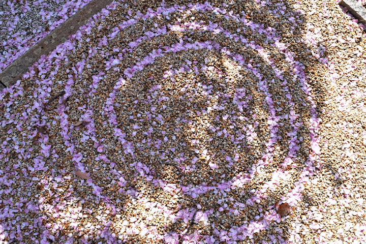 砂紋に花びらの筋